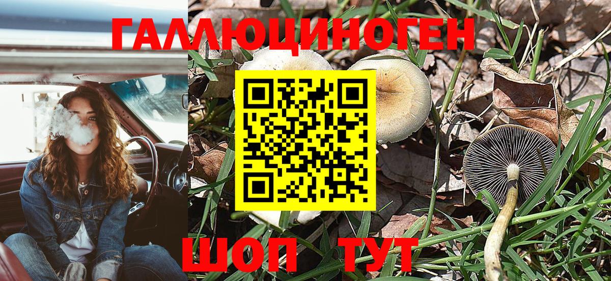 Беслан  Галлюциногенные грибы ЛСД  Псилоцибиновые грибы Psilocybe  Вход с VPN 